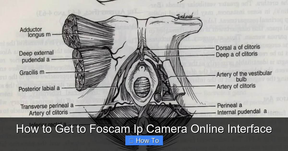 How to Get to Foscam Ip Camera Online Interface