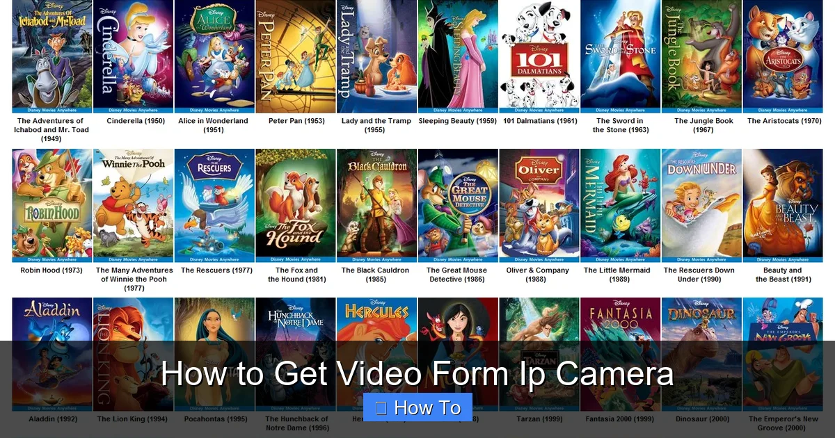 How to Get Video Form Ip Camera