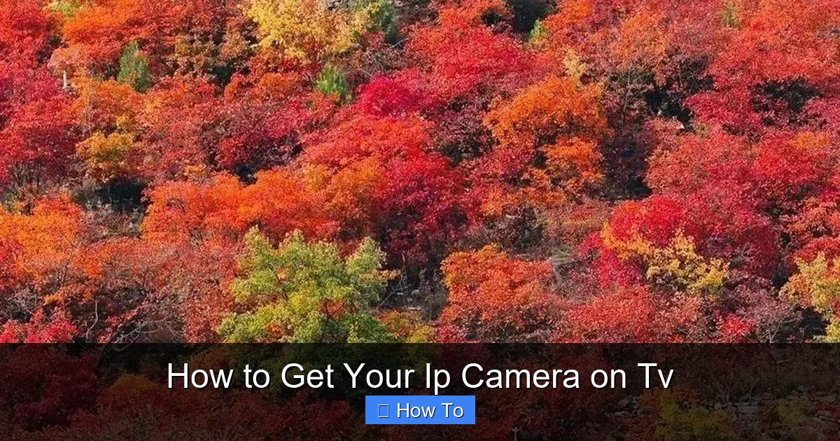 How to Get Your Ip Camera on Tv