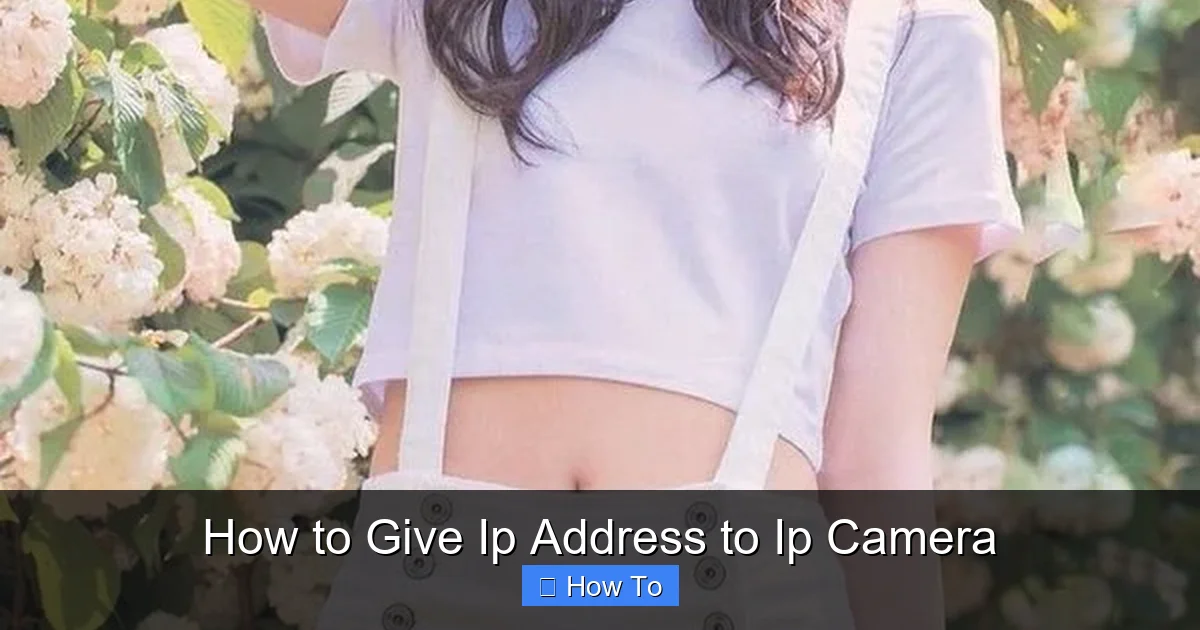 How to Give Ip Address to Ip Camera