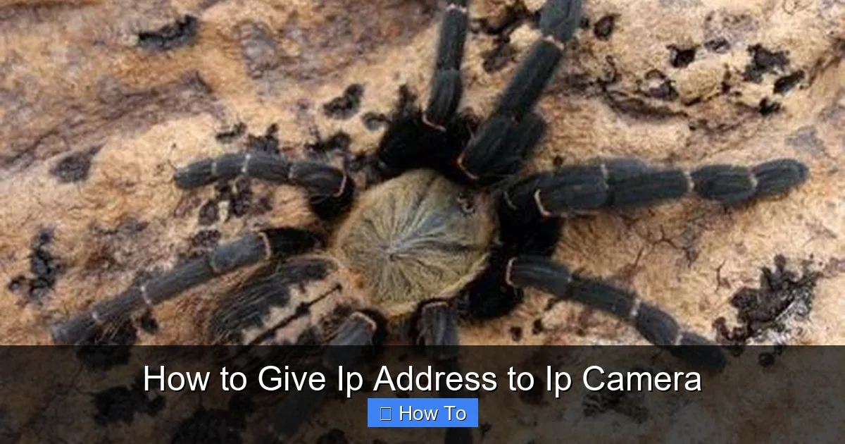 How to Give Ip Address to Ip Camera