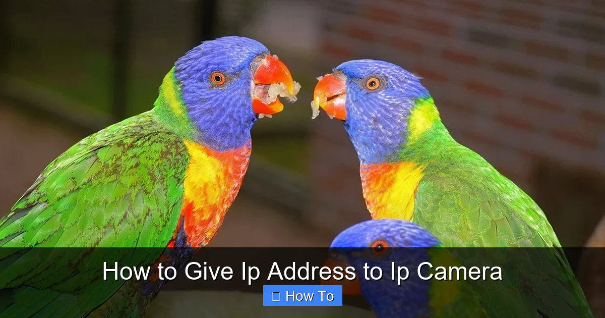 How to Give Ip Address to Ip Camera