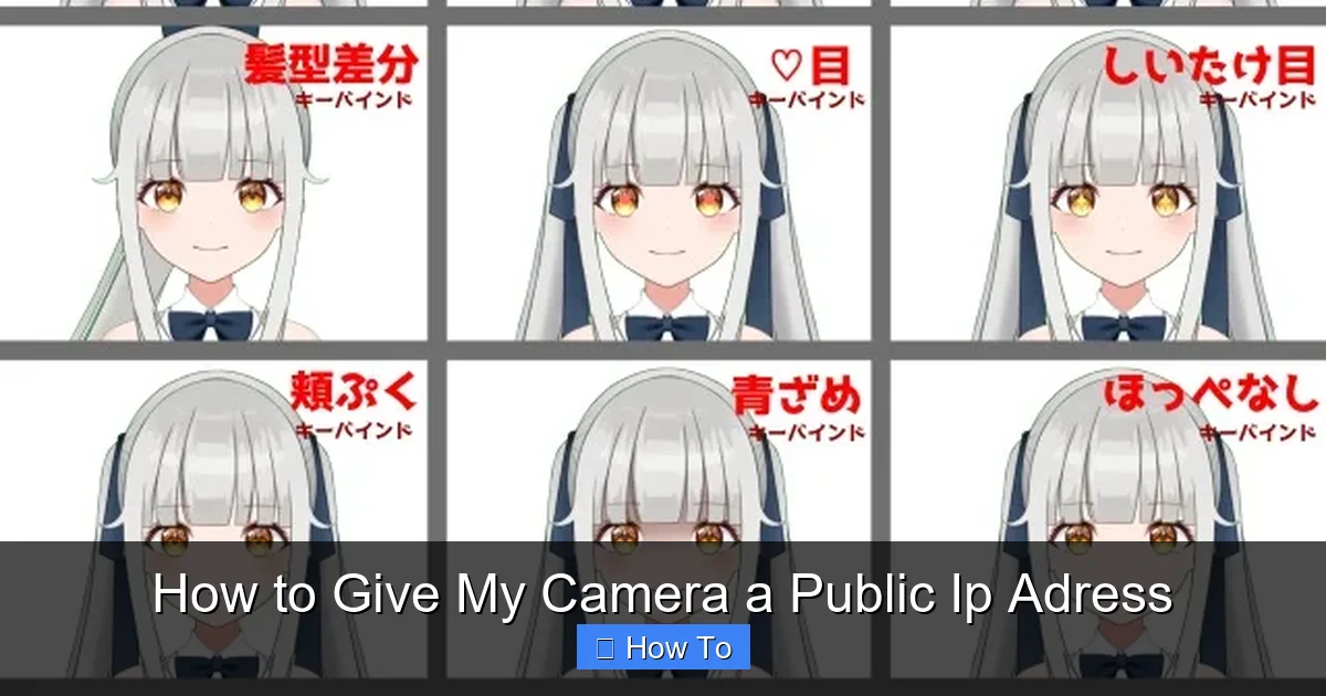 How to Give My Camera a Public Ip Adress