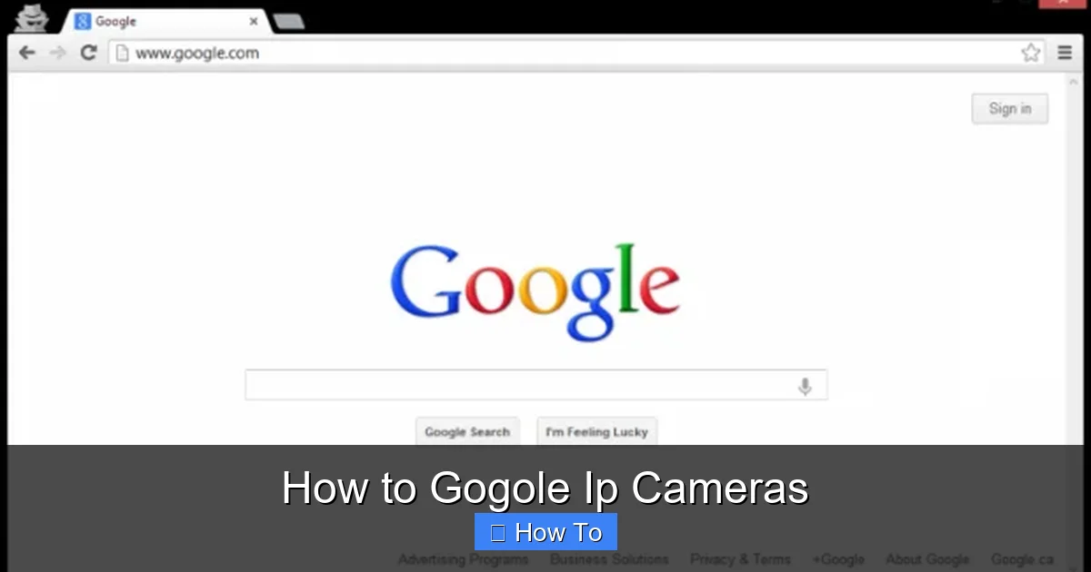 How to Gogole Ip Cameras