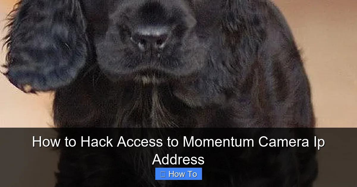 How to Hack Access to Momentum Camera Ip Address