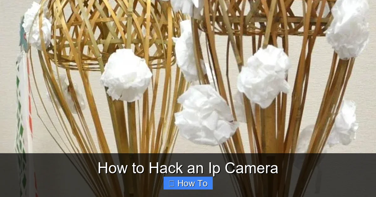 How to Hack an Ip Camera
