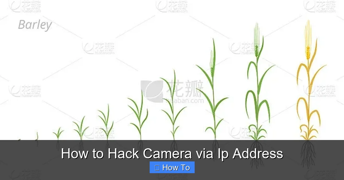 How to Hack Camera via Ip Address