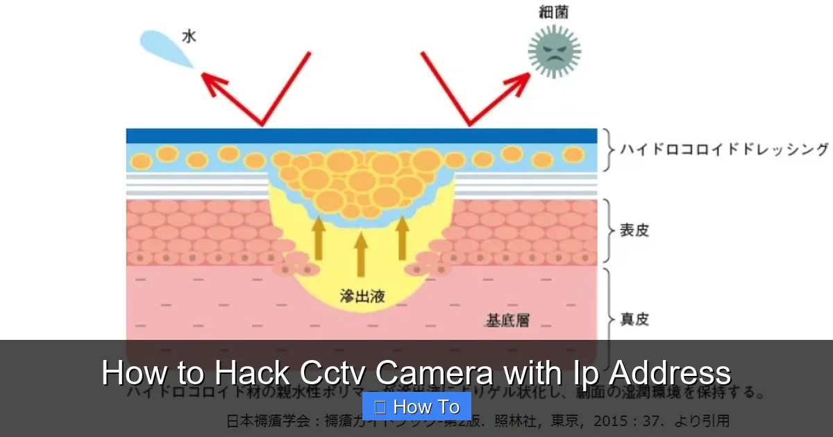 How to Hack Cctv Camera with Ip Address