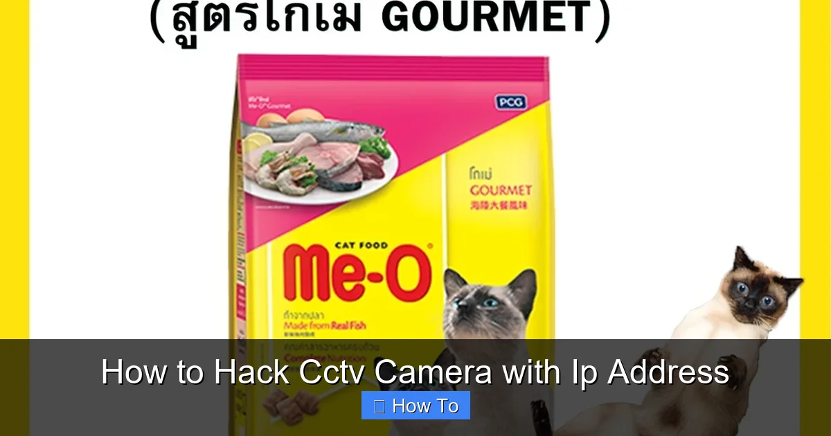 How to Hack Cctv Camera with Ip Address