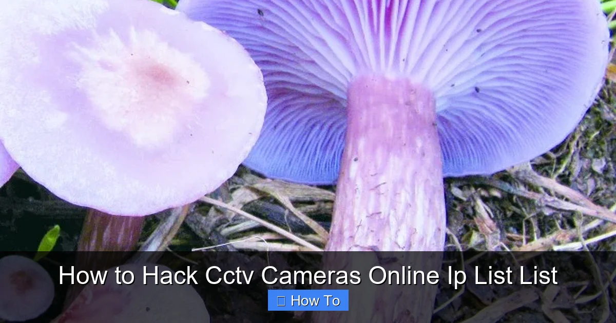 How to Hack Cctv Cameras Online Ip List List