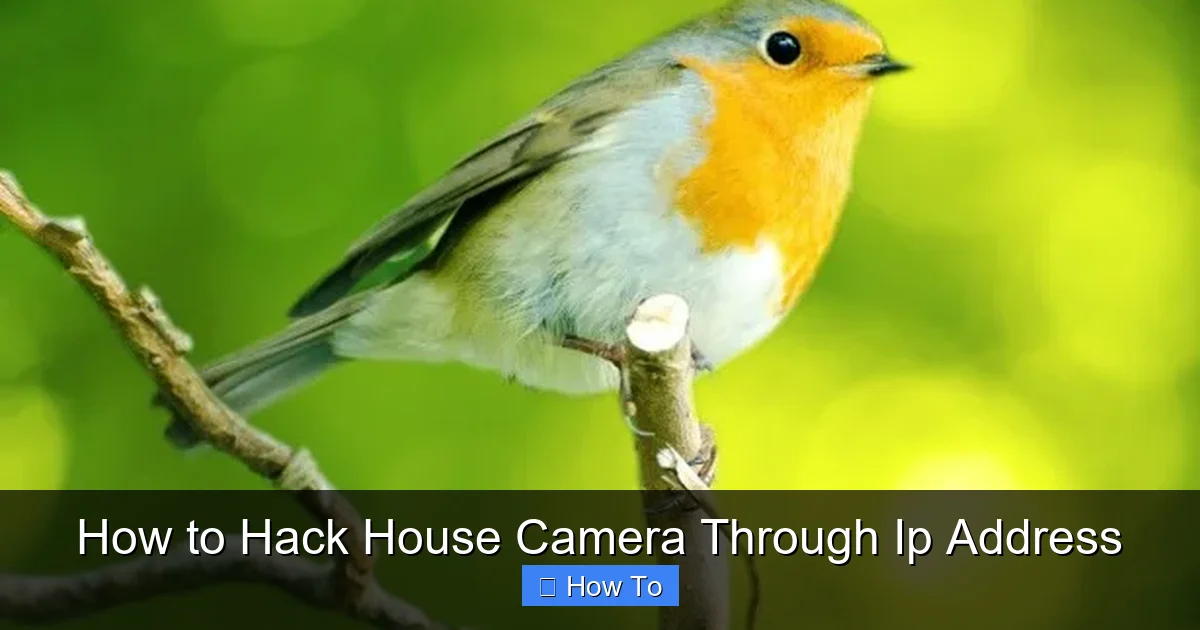 How to Hack House Camera Through Ip Address