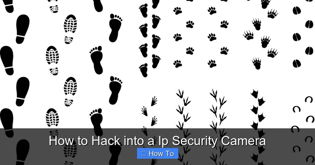 How to Hack into a Ip Security Camera