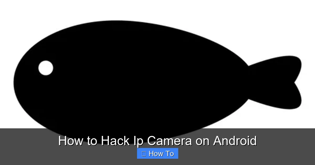 How to Hack Ip Camera on Android