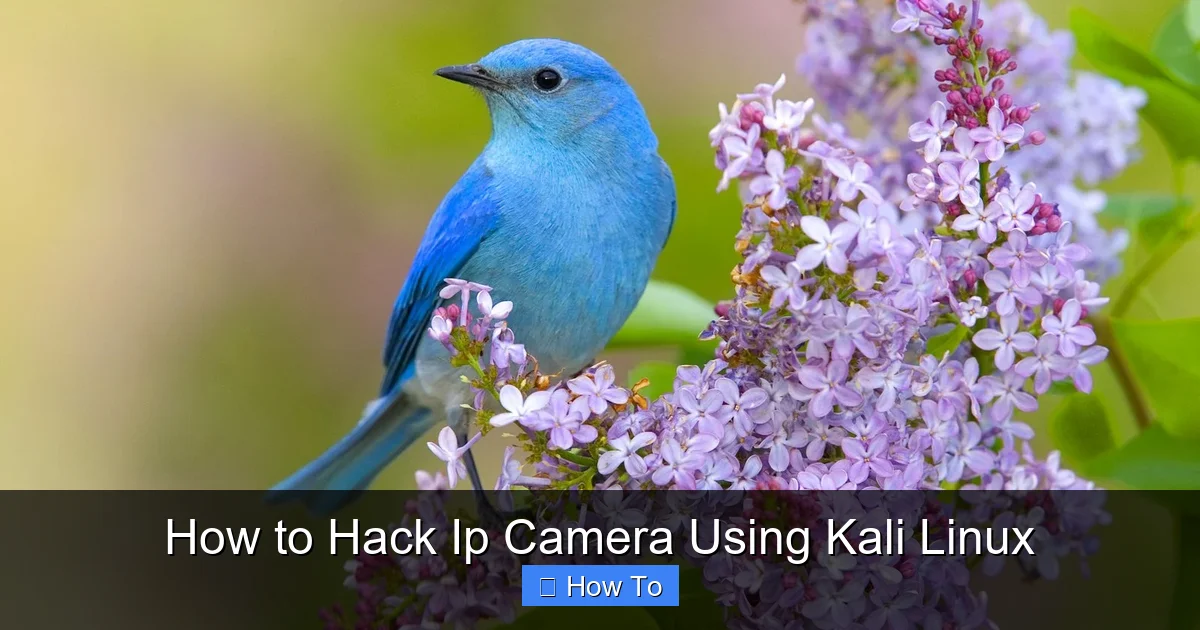 How to Hack Ip Camera Using Kali Linux