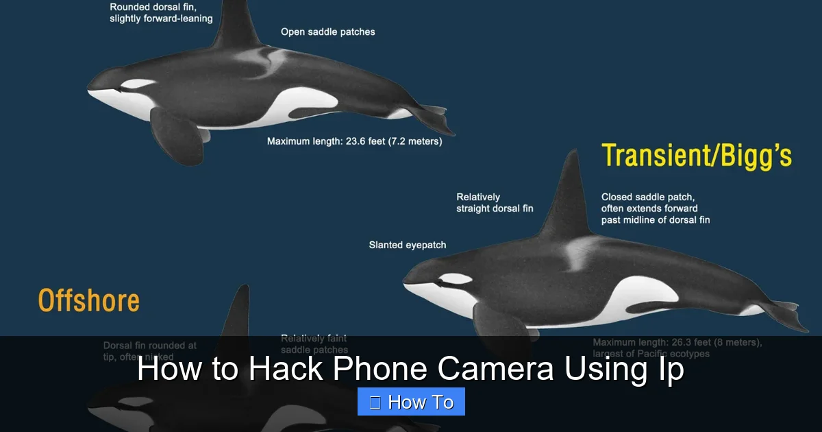 How to Hack Phone Camera Using Ip
