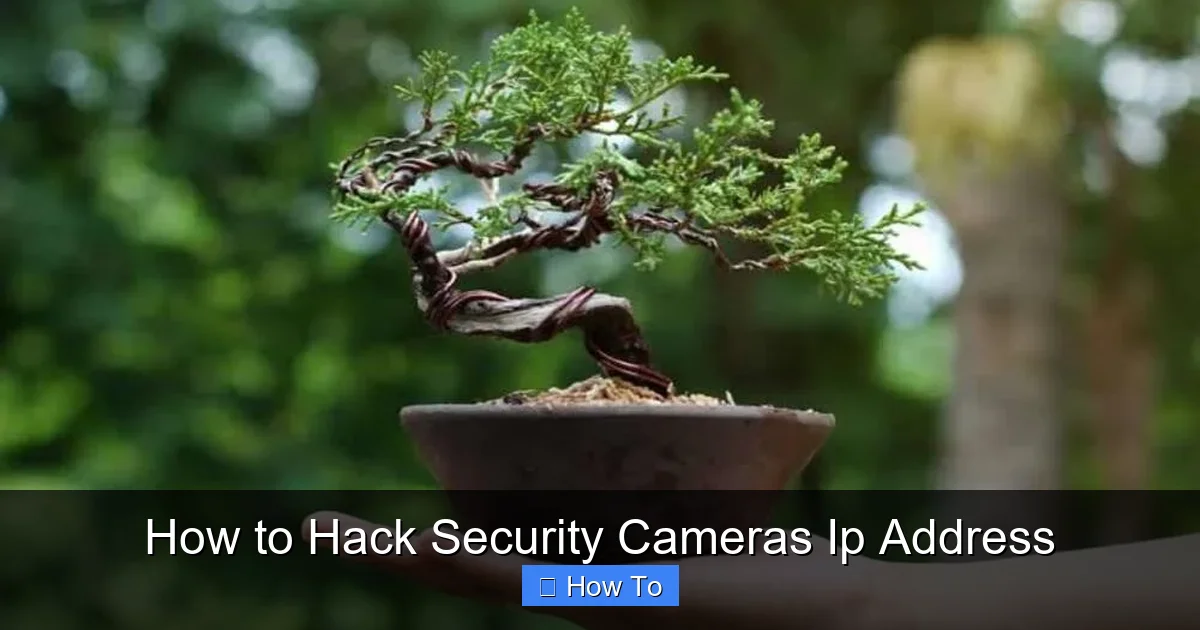 How to Hack Security Cameras Ip Address
