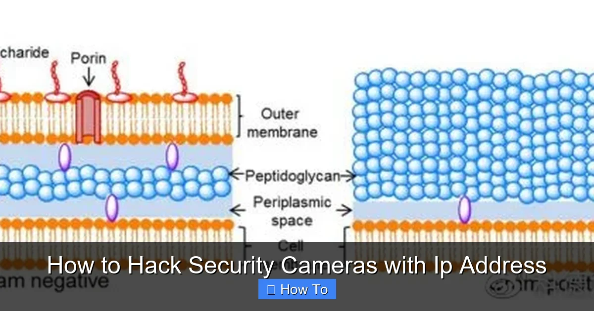 How to Hack Security Cameras with Ip Address