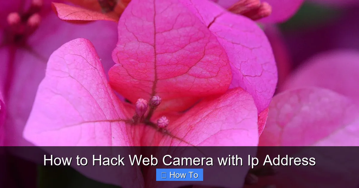 How to Hack Web Camera with Ip Address