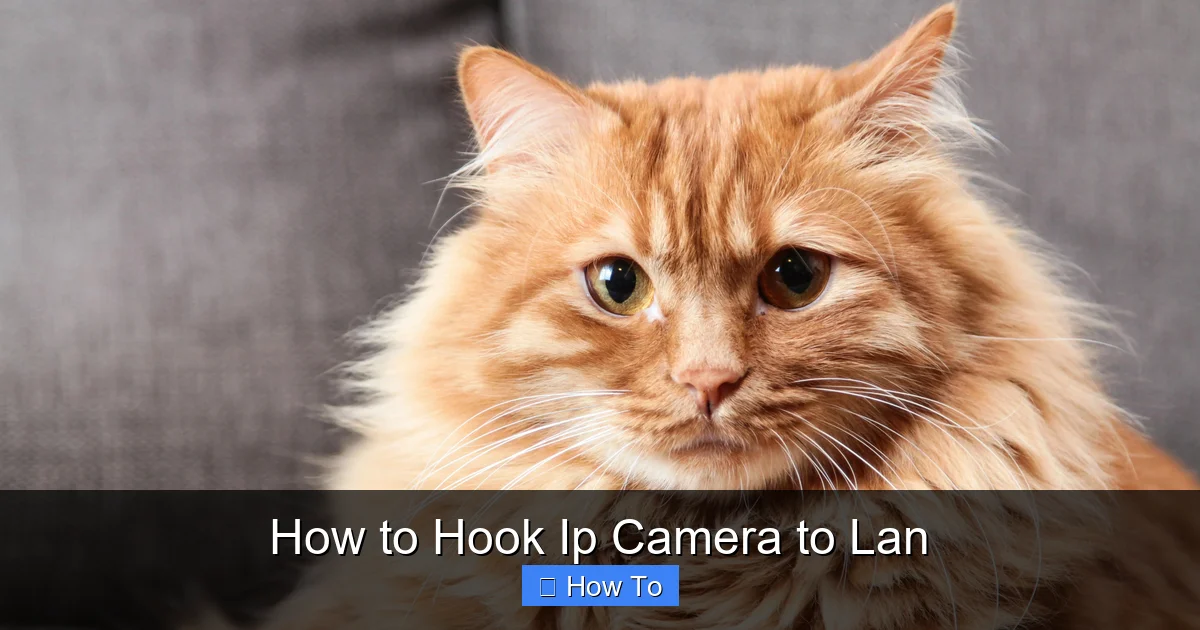 How to Hook Ip Camera to Lan