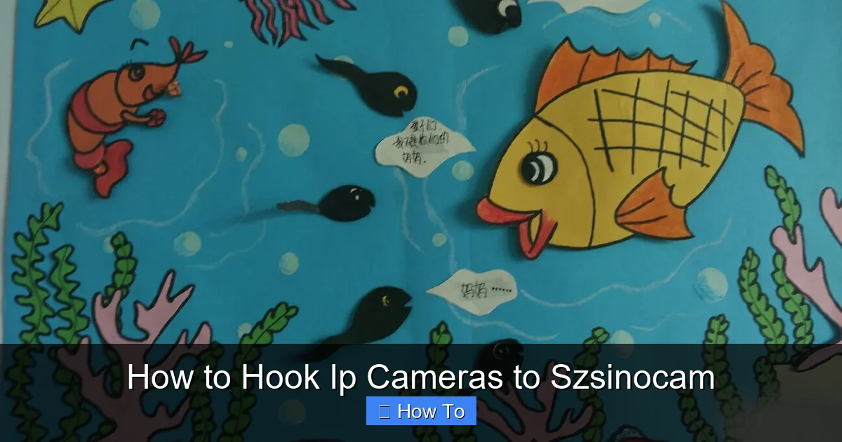 How to Hook Ip Cameras to Szsinocam