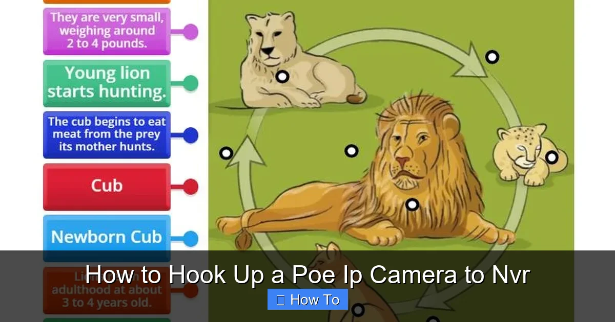 How to Hook Up a Poe Ip Camera to Nvr