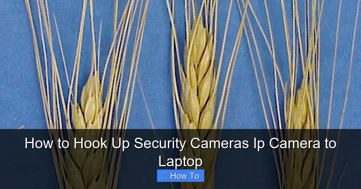 How to Hook Up Security Cameras Ip Camera to Laptop
