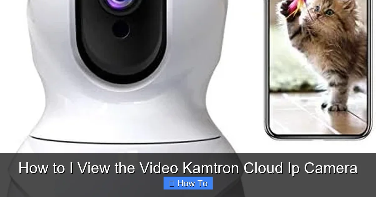 How to I View the Video Kamtron Cloud Ip Camera