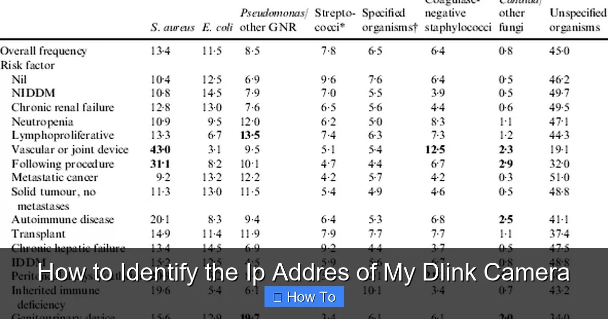 How to Identify the Ip Addres of My Dlink Camera
