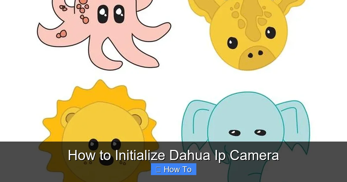 How to Initialize Dahua Ip Camera
