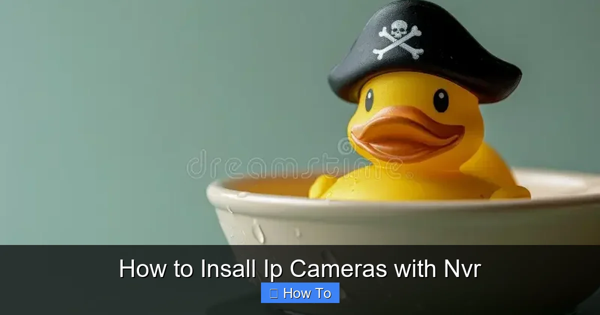 How to Insall Ip Cameras with Nvr
