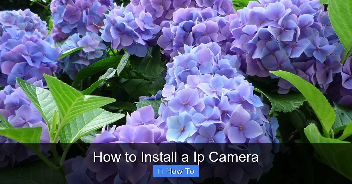How to Install a Ip Camera
