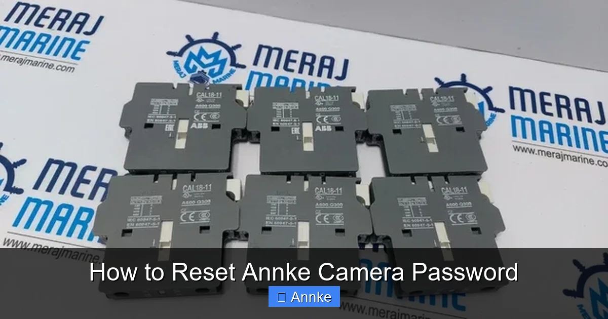 How to Reset Annke Camera Password
