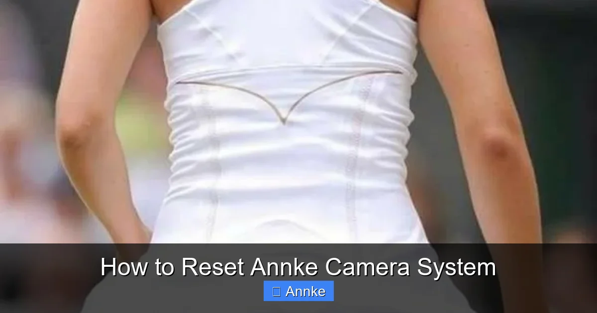 How to Reset Annke Camera System