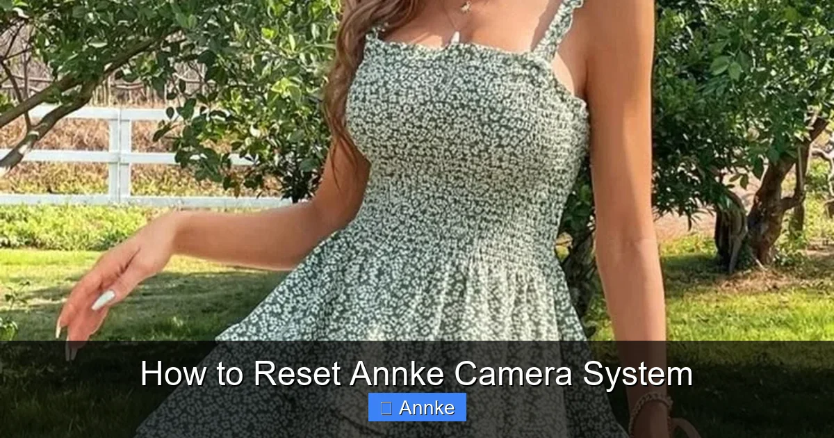 How to Reset Annke Camera System