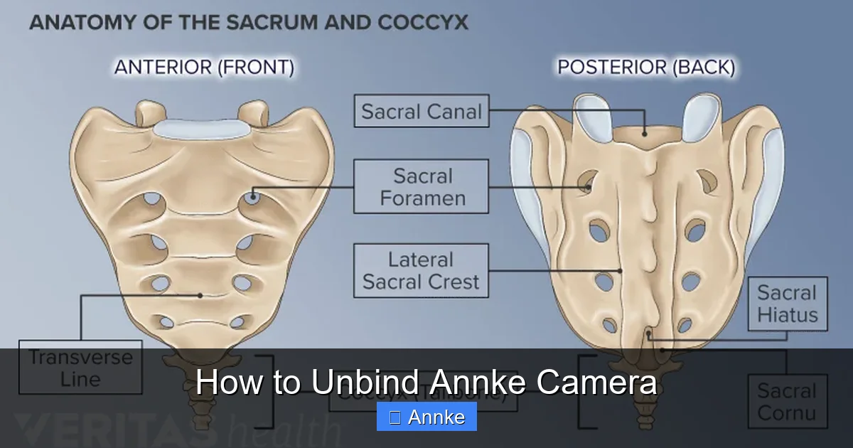 How to Unbind Annke Camera