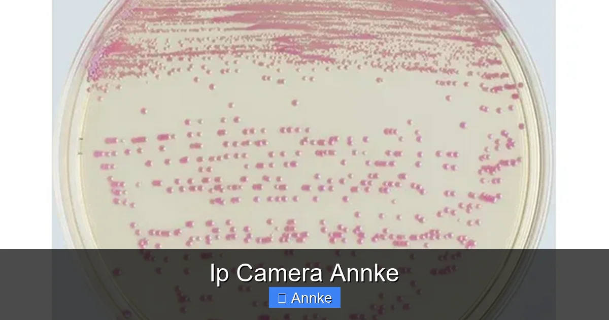 Ip Camera Annke