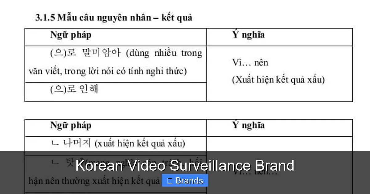 Korean Video Surveillance Brand