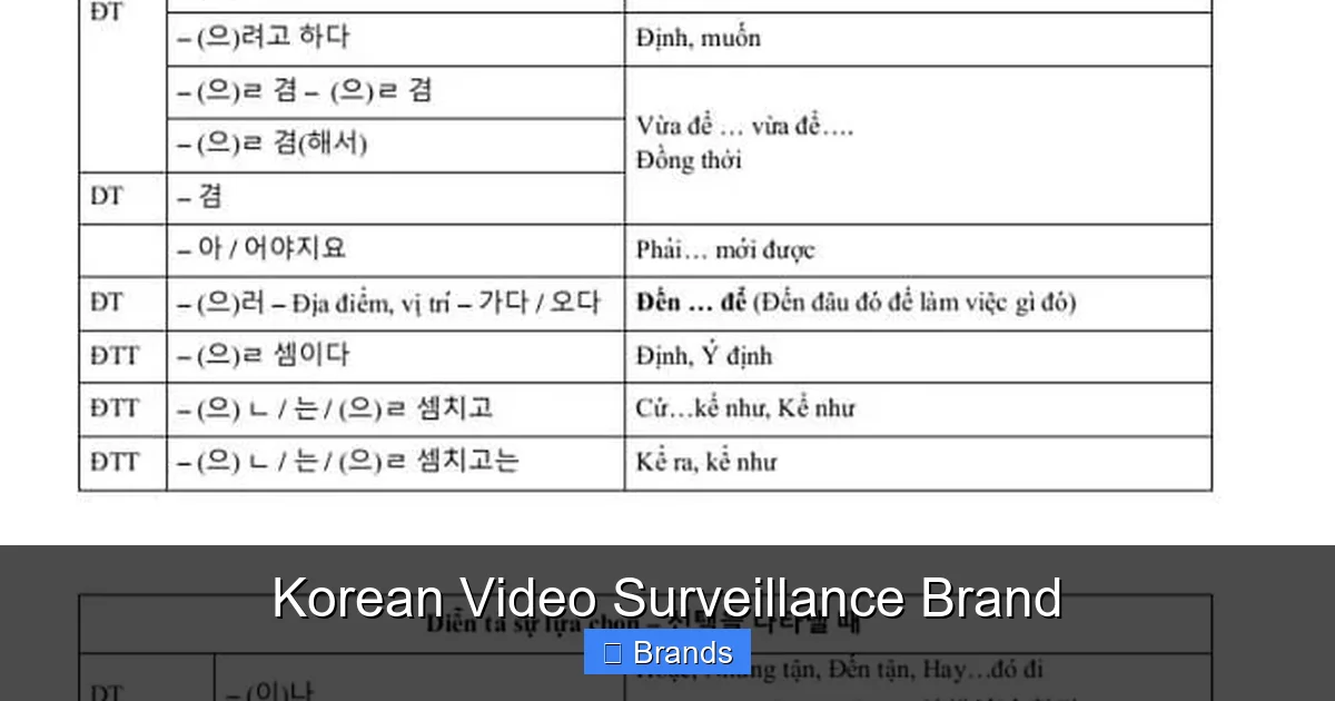 Korean Video Surveillance Brand