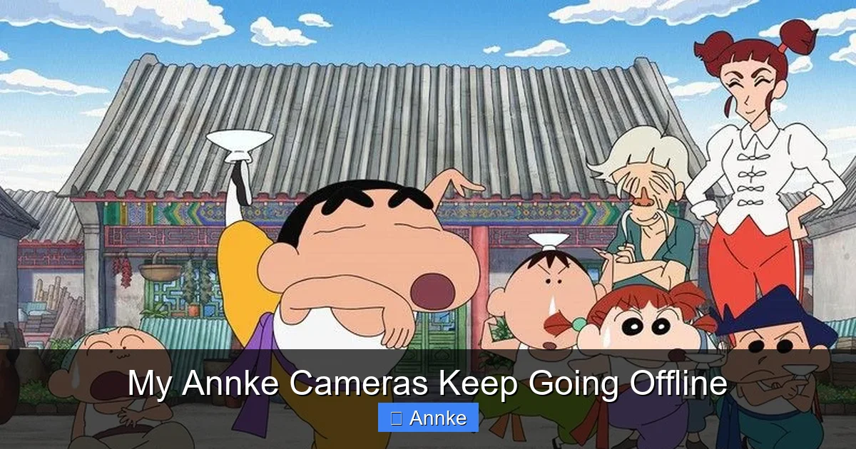 My Annke Cameras Keep Going Offline