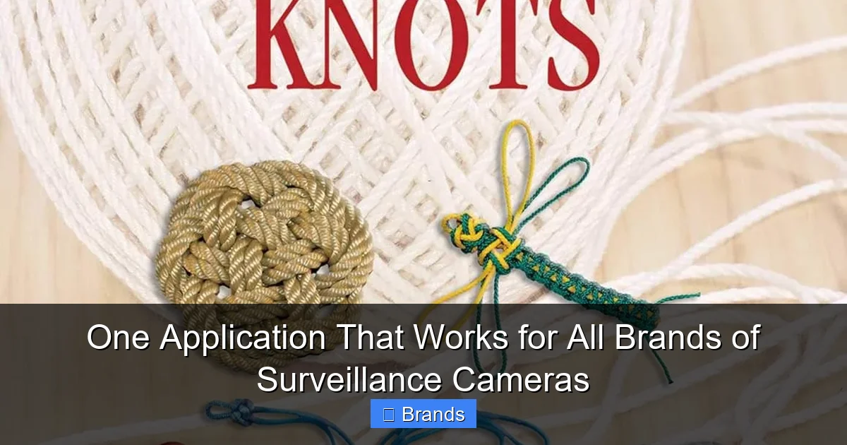 One Application That Works for All Brands of Surveillance Cameras