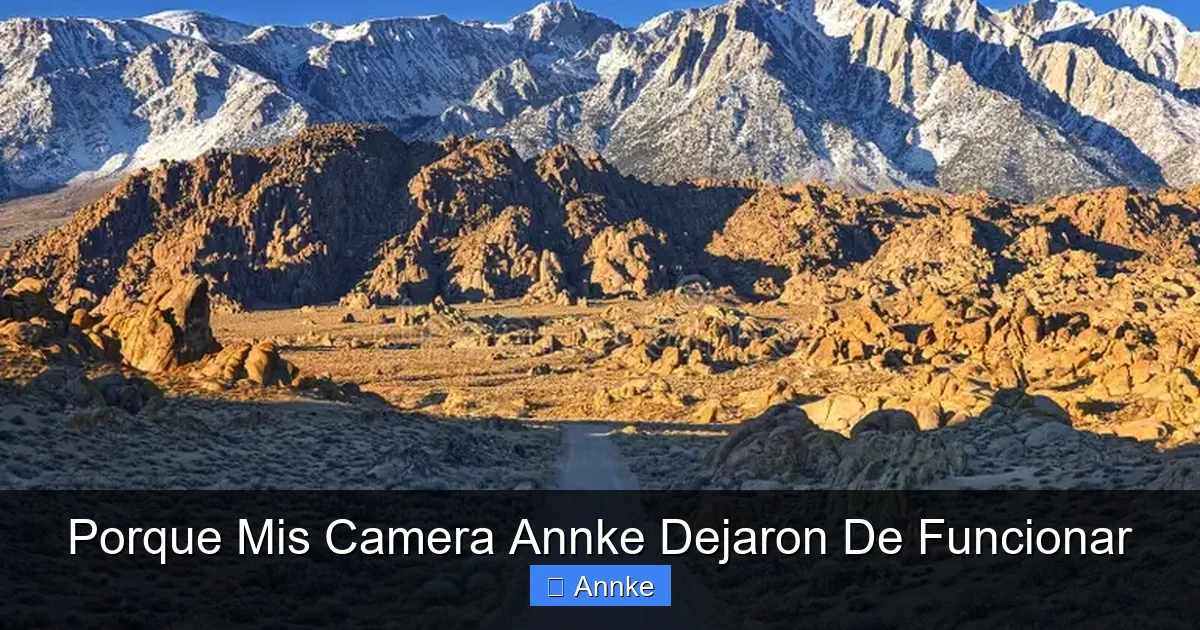 Porque Mis Camera Annke Dejaron De Funcionar