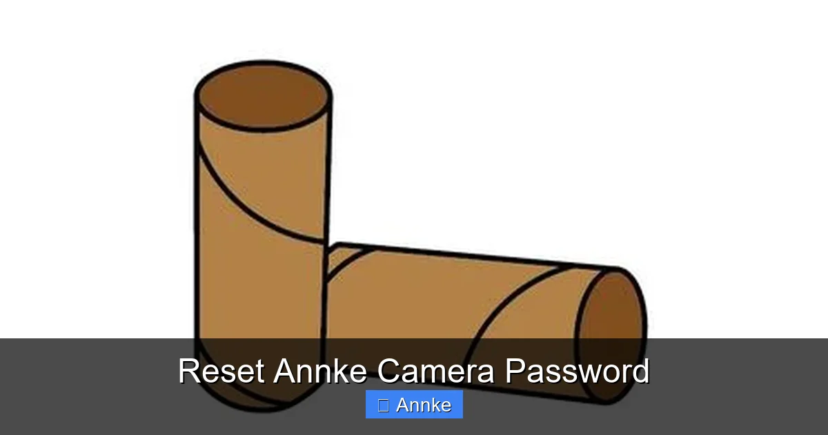 Reset Annke Camera Password