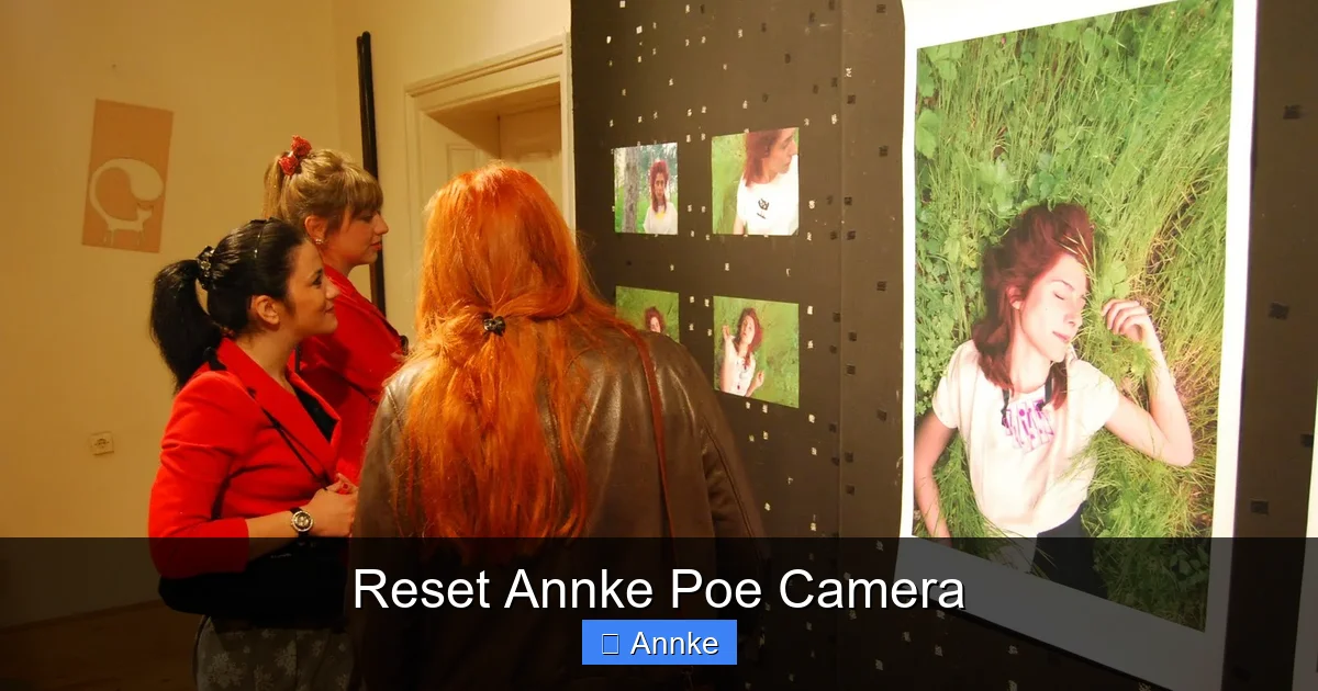 Reset Annke Poe Camera