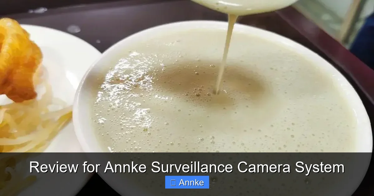 Review for Annke Surveillance Camera System