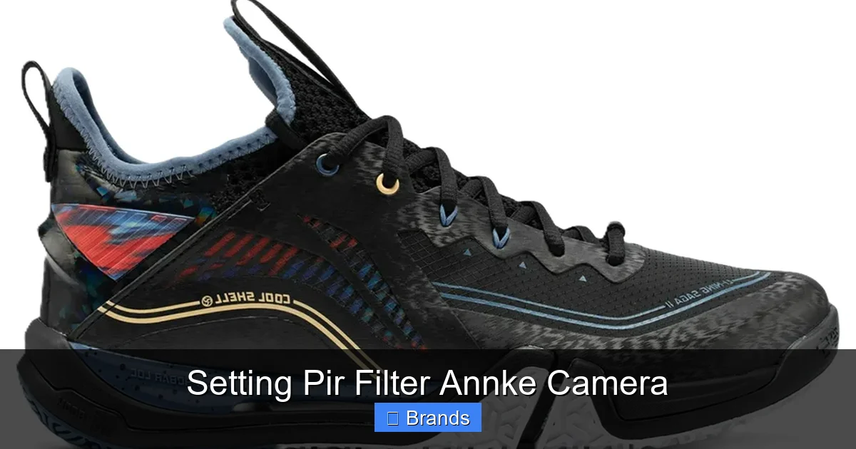 Setting Pir Filter Annke Camera