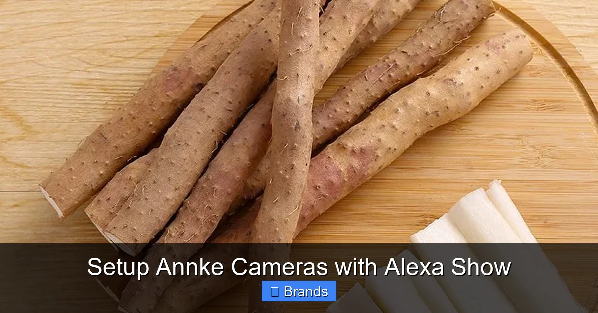 Setup Annke Cameras with Alexa Show