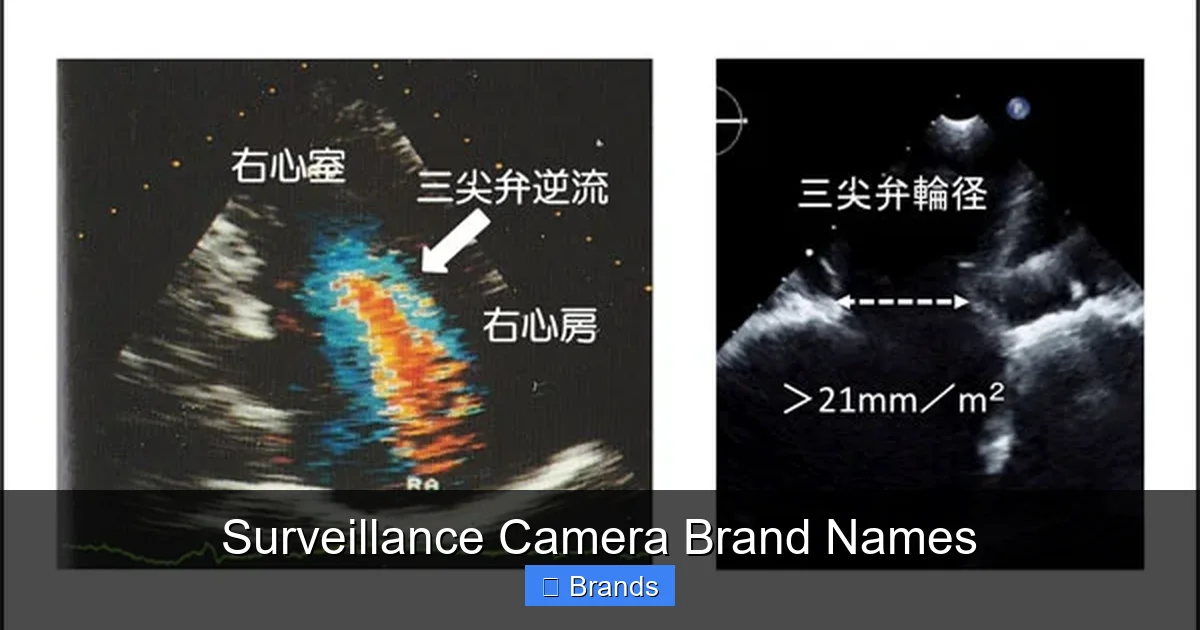 Surveillance Camera Brand Names