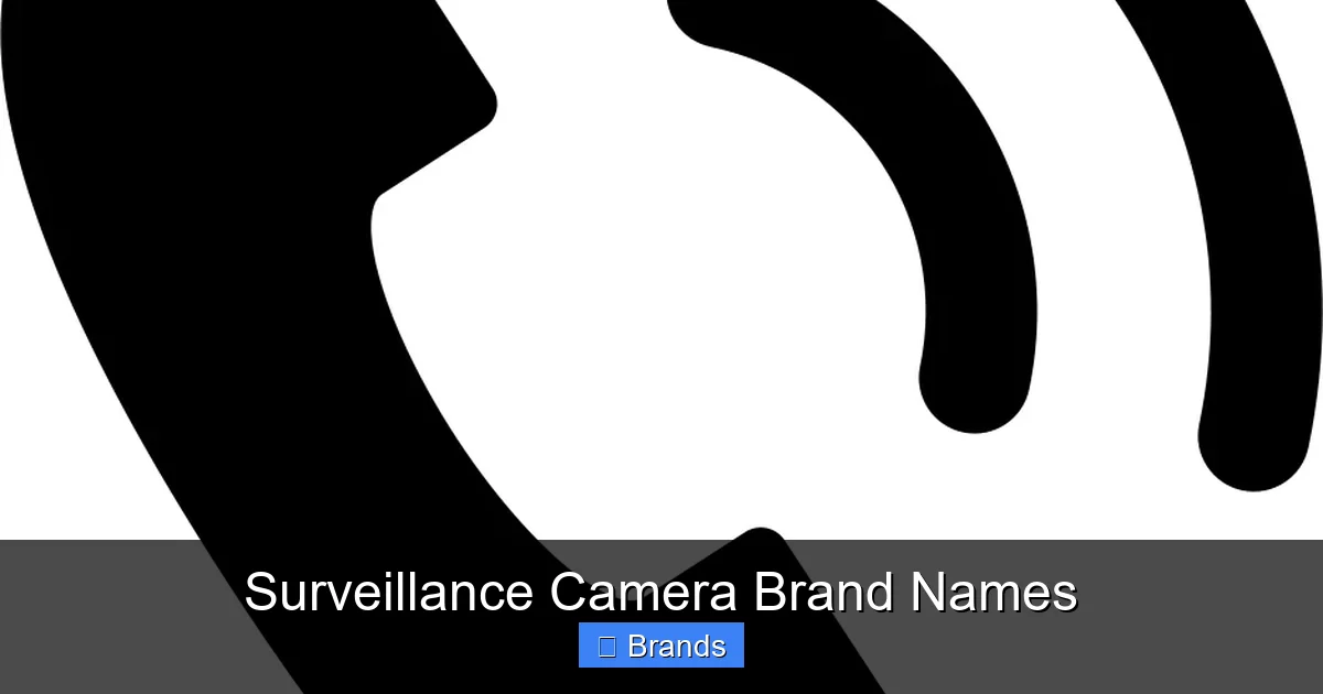 Surveillance Camera Brand Names