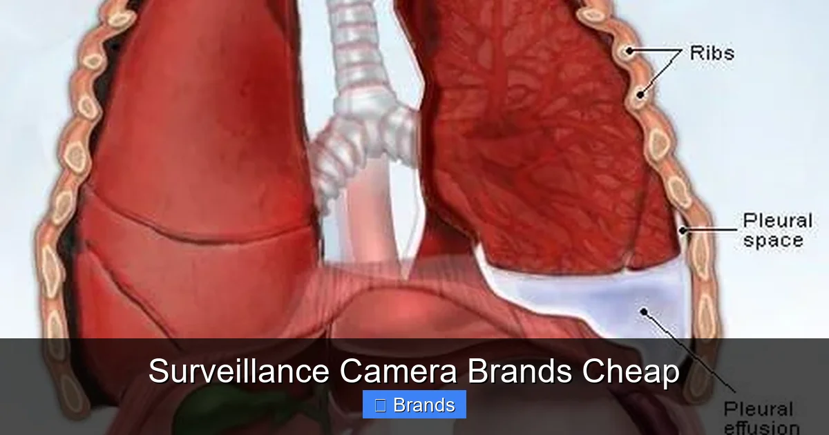 Surveillance Camera Brands Cheap