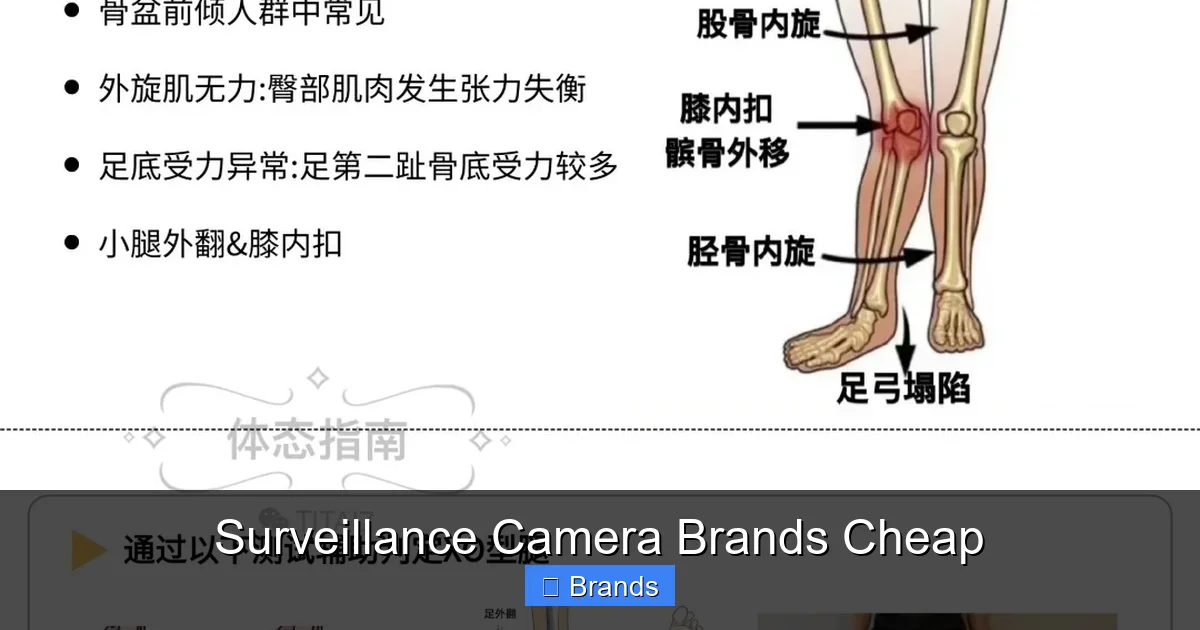 Surveillance Camera Brands Cheap